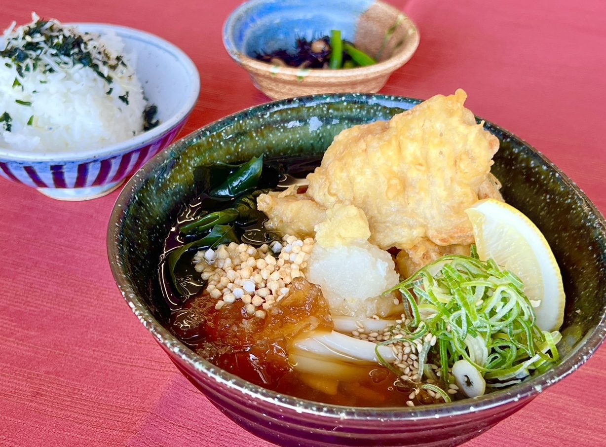 鶏天おろし冷やしぶっかけうどん