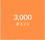 3,000ポイント