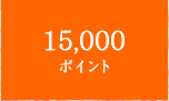 15,000ポイント