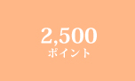 2,500ポイント